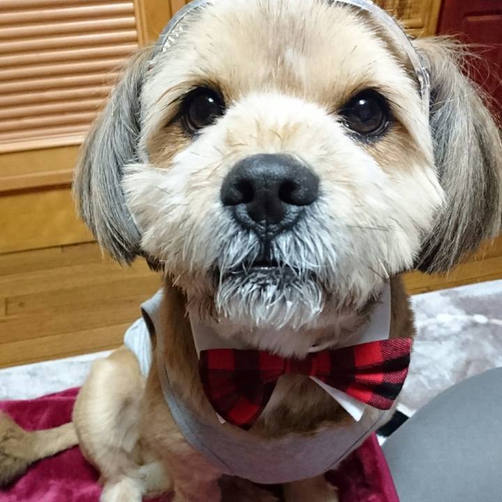 856a4a45 5dc5 4876 baf4 b68eefb6f866 1513855518722