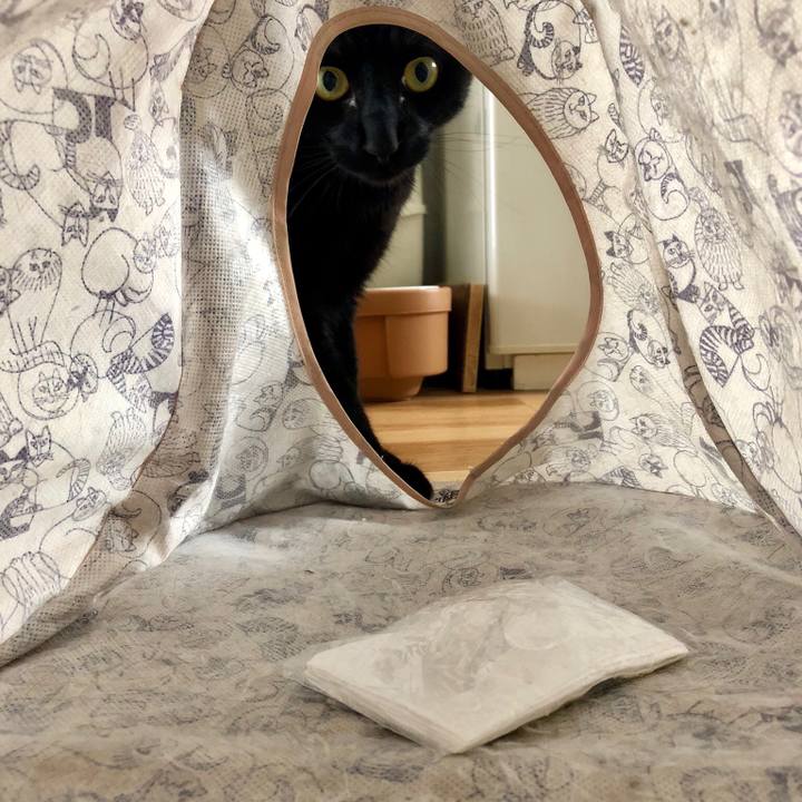 856a5509 16a3 4b1d be84 1d7c535d3807 1526797803579