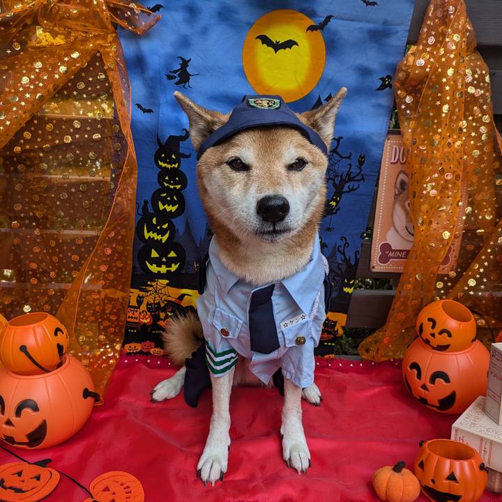 856a611c b9e2 448c b5b4 afce71c71820 1730461712929