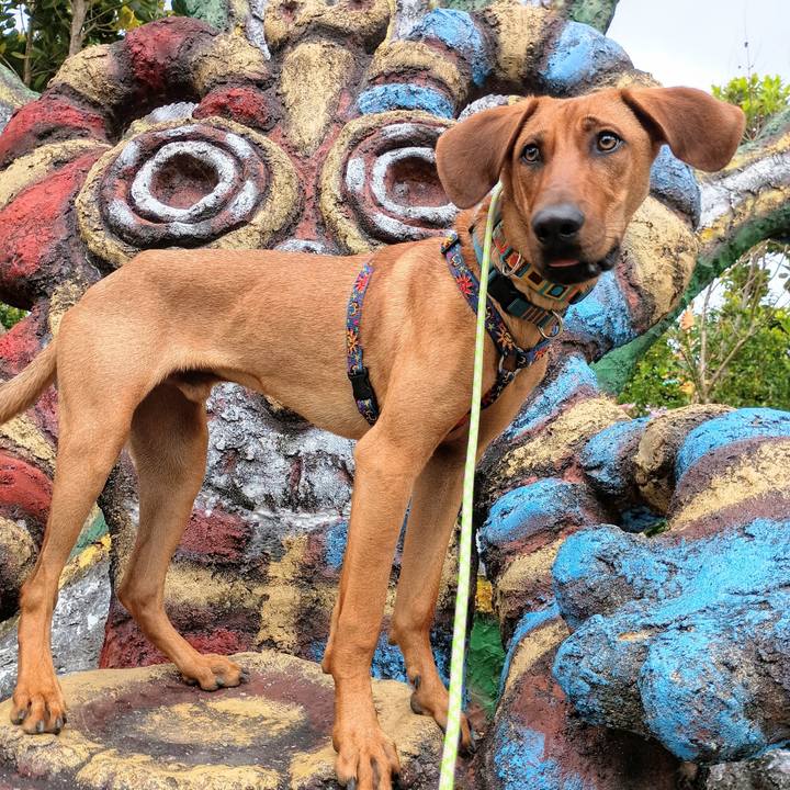 856a9192 9551 4e93 8b46 83e0d6599d8e 1775207907569