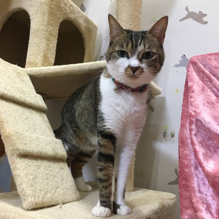 856ae21c a324 42e9 9622 3630da538814 1514720561544