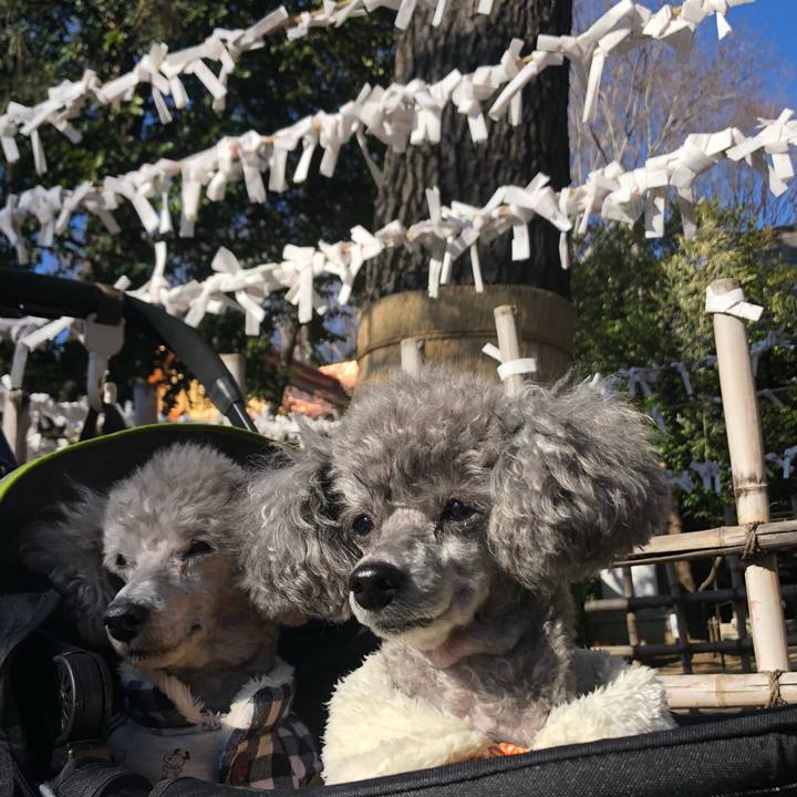 856af172 e8ba 4070 a879 04b004e19f69 1578214005224