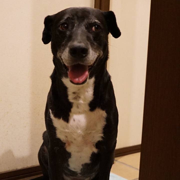 856b01e7 bec0 426b 9852 d1d0846dd4ab 1758971638171