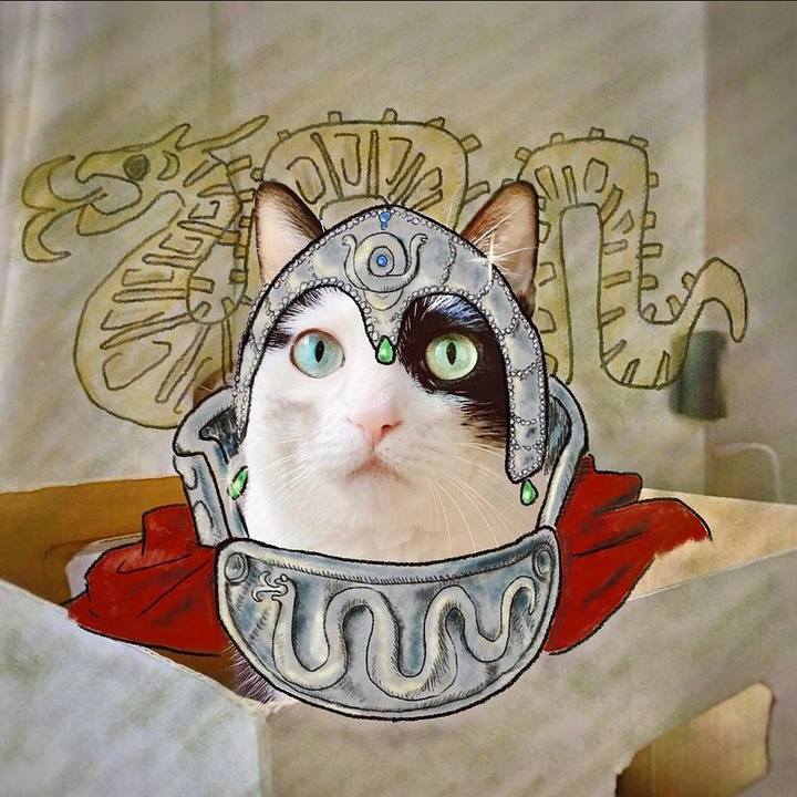 856b1671 9f54 4761 b972 c3d6d1e50bc7 1688739089675