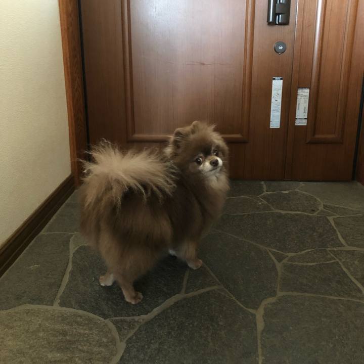 856b325e 4cfc 4e00 9c41 38dfe9d2d9a5 1624838793410