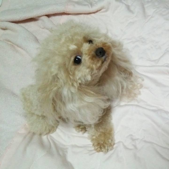 856b55f0 6307 4726 824b 08346241137c 1538918719598