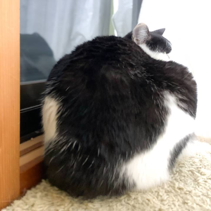 856b58a9 b9b9 496a a1d9 3d5e32acf272 1577151844011