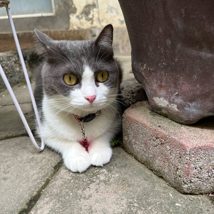 856b5e35 bc6f 4e64 badf 33ca07436cb6 1763790810900