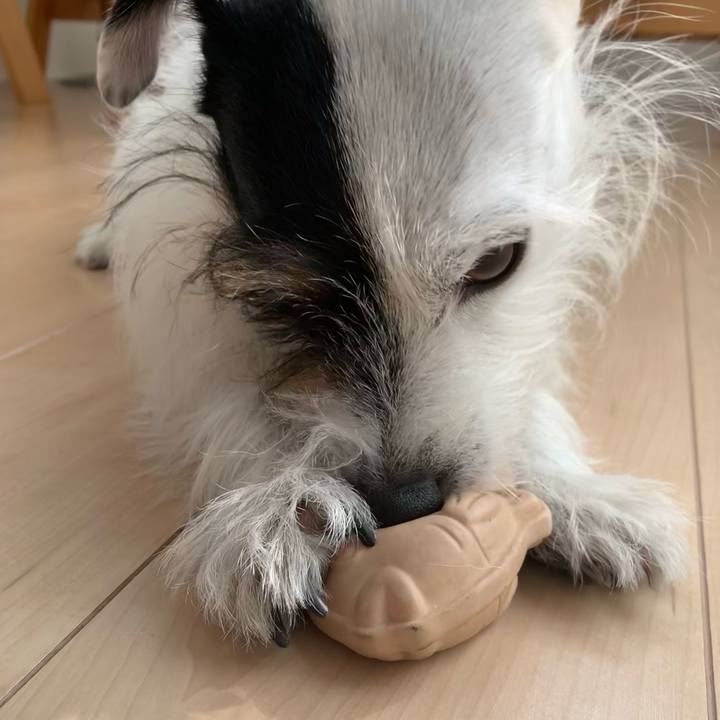 856b97f6 5936 41dd 8bb9 37635848896e 1667958939212