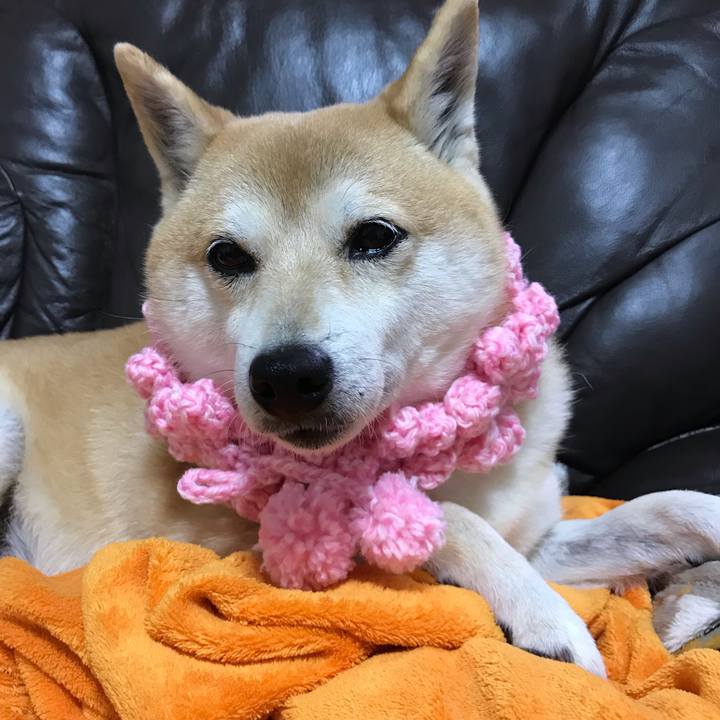 856bd570 5649 419b ab1c cfc5616b5d5a 1547647286265