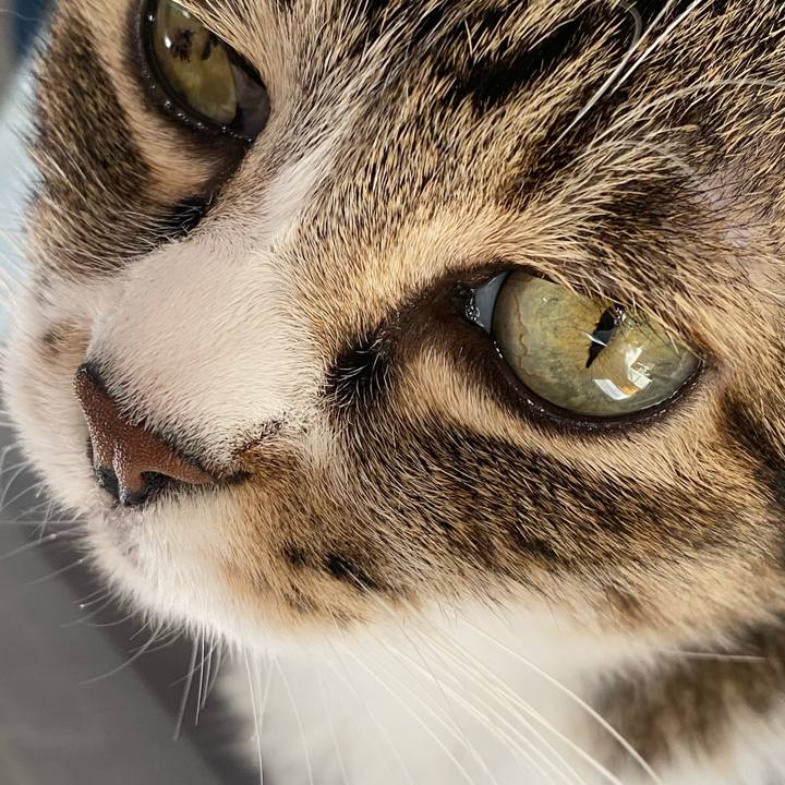 856bf94f 5f06 4c41 b6fd fd79b959b435 1636858935192