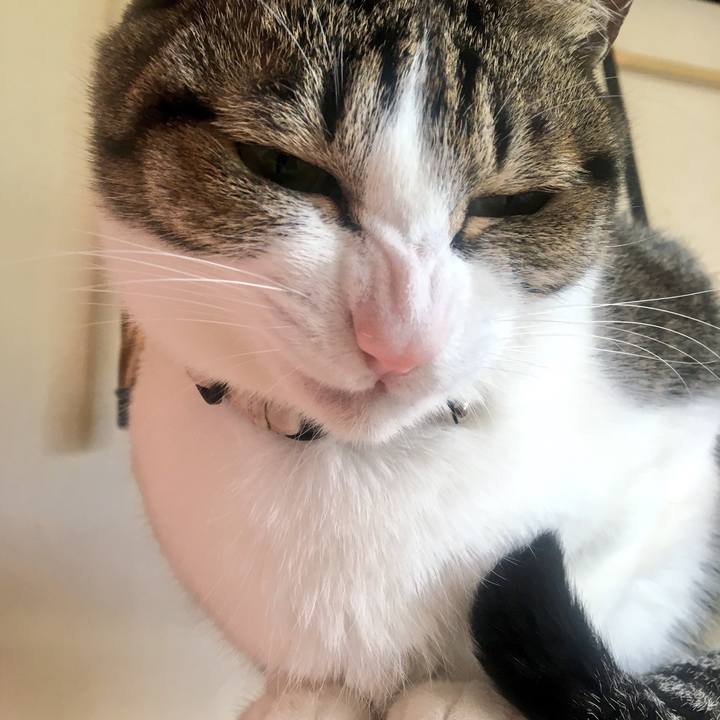 856bfaa6 9330 4b91 a97f ea1f0c4dfbd6 1521245493344