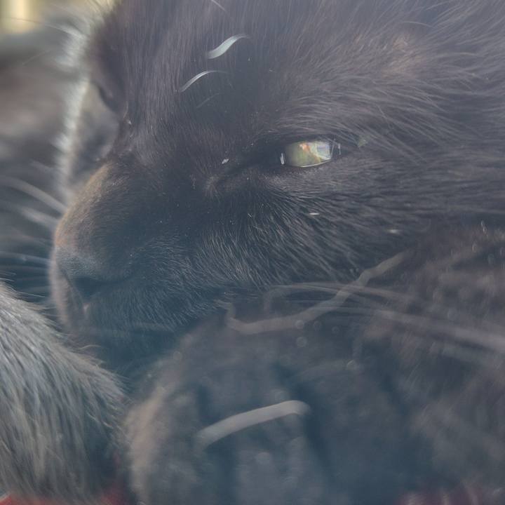 856c014a 4725 49fd 86b8 dd682011be19 1756510249175