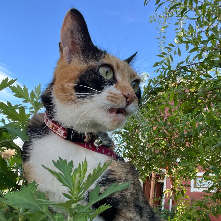 856c194f ea66 4f7a ad60 7417a9cfadf4 1693521550641