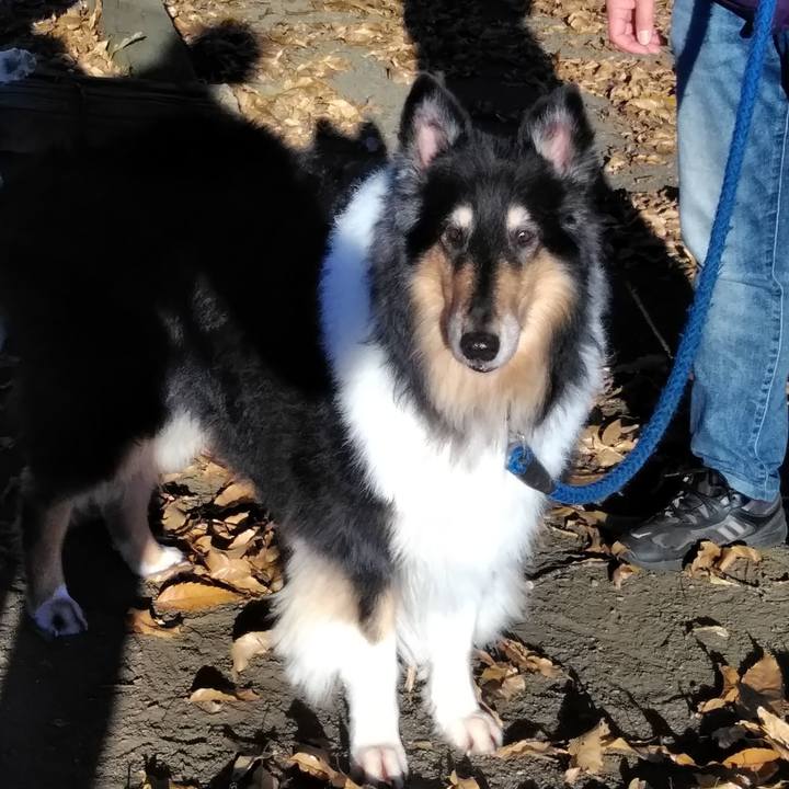 856c711c 4d63 4bd5 bca6 94e55c226329 1542807114948