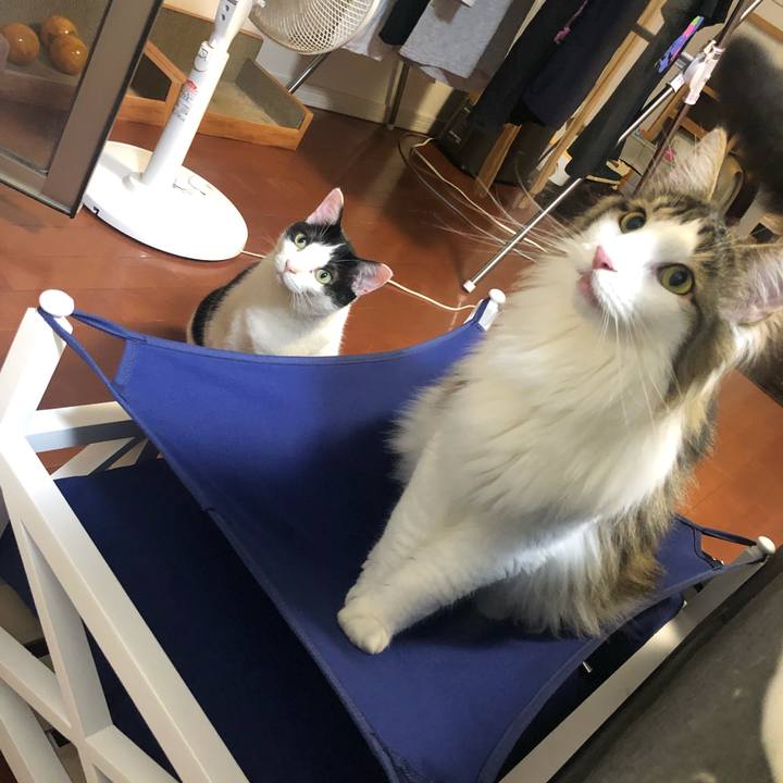 856c929c f493 4b70 89e2 fc3e9b84c9e7 1561971952506