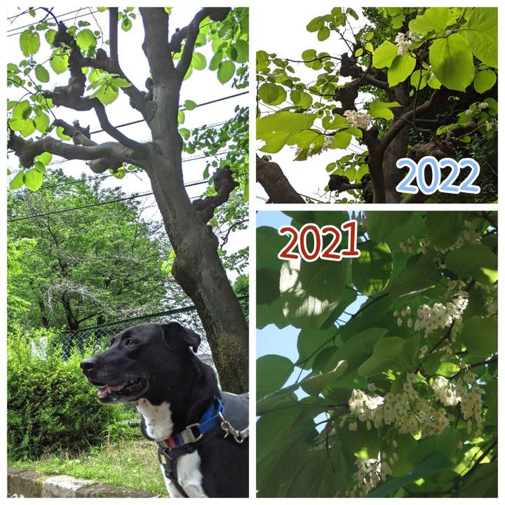 856cc41c 1e3a 4f1f 86e6 a0e83db76f17 1651196023881