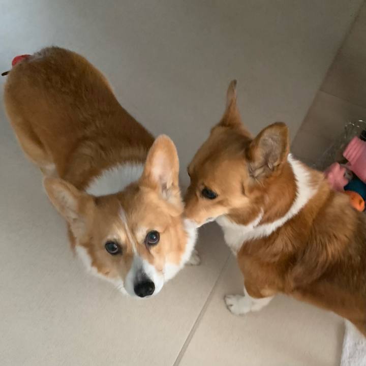 856cd4c3 99bf 4a61 b5d2 5968ac367f8f 1676792002215