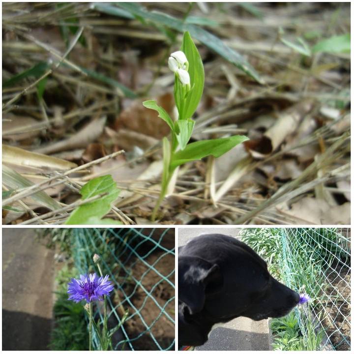 856cd98c 2528 4713 a218 9ede094d300b 1619227339854