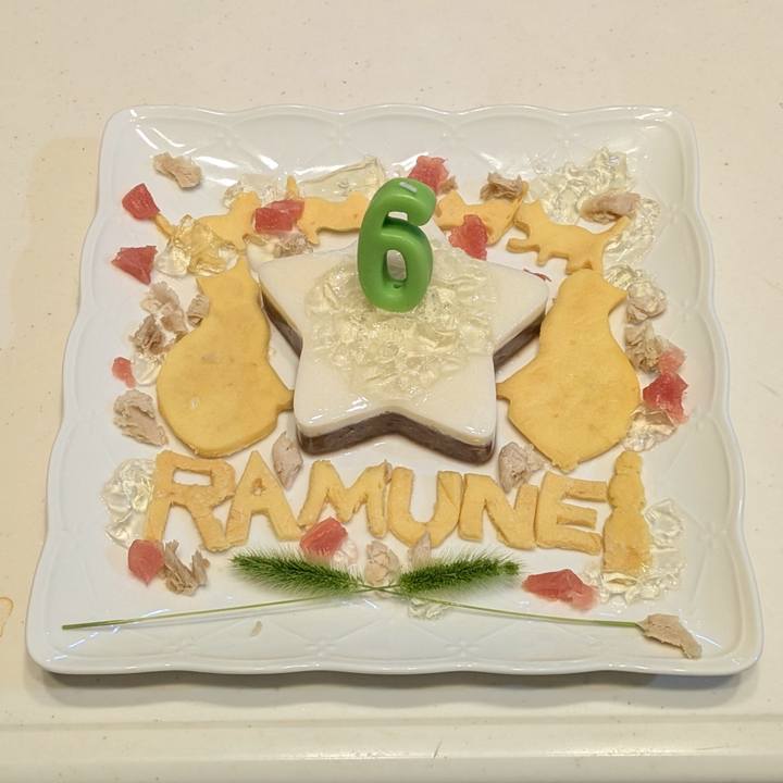 856d1082 c718 4d9e ac43 cf4a270a7df5 1749636433363