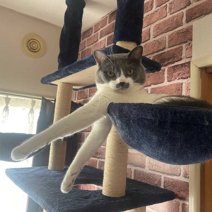 856d1328 2397 4f52 a1c4 cbb09765c3b7 1629874842931