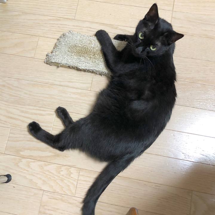 856d2585 301b 463e 8409 9ea7b5bb1424 1591011931556