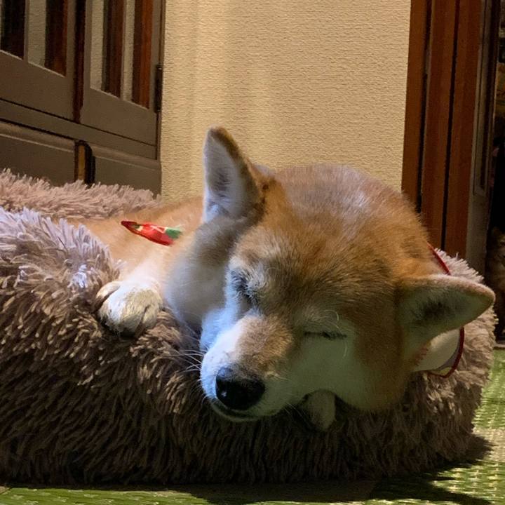 856d52ef 8e3c 426b b5f6 cf0d477dafa5 1638622271517