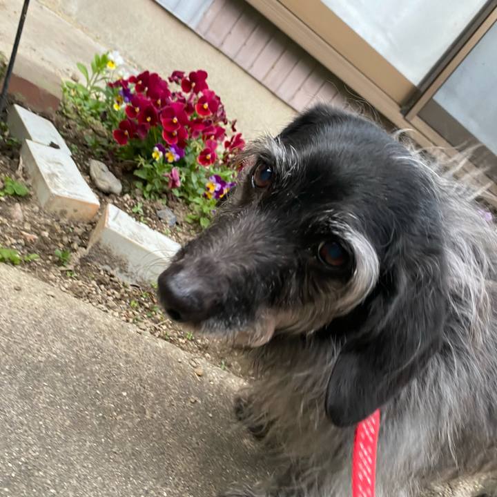 856d60a5 4d42 423c acb6 9a9e0c7c56ab 1713222557657