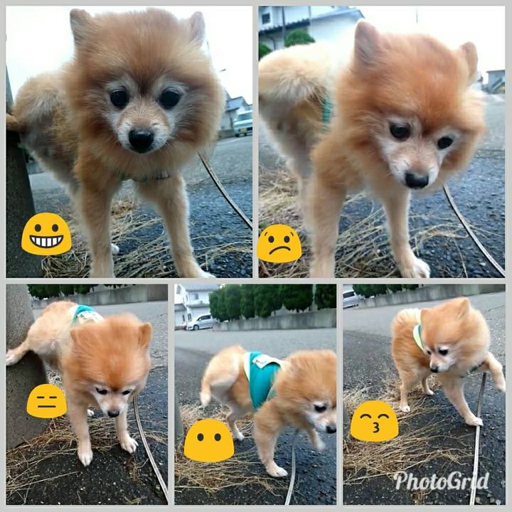 856d670f 2f11 4d30 bdb7 27cf37f4af85 1509316343406