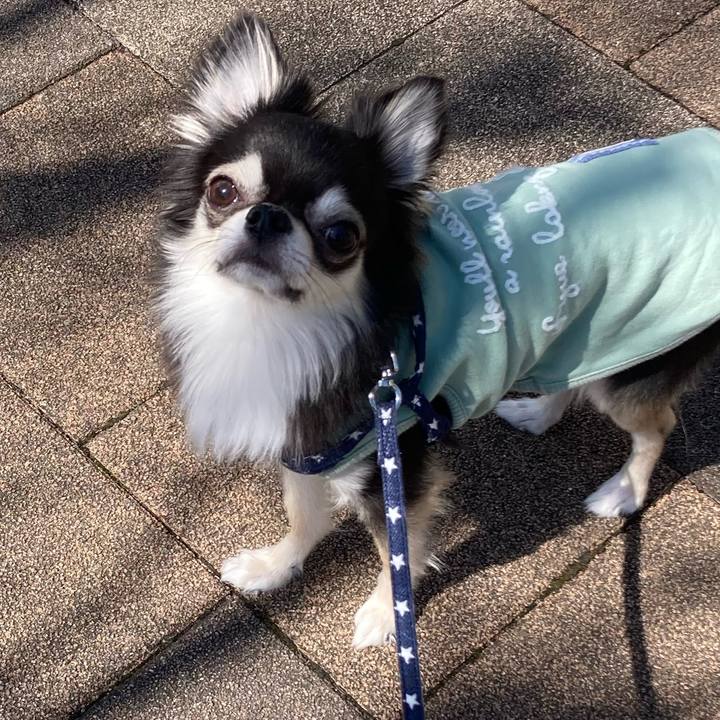 856d7c35 cc7b 4ab1 8fc8 b5fbbb30b26d 1648909304807