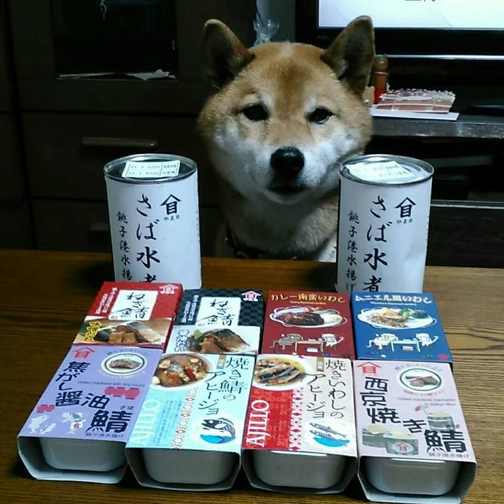 856d819a 3c67 4719 bbf5 14ee0a8f4ac2 1556958859236