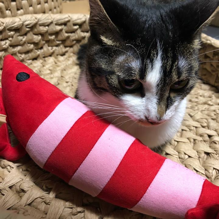 856d91f8 5dd6 473f bfdc a904b084fae5 1530786103739