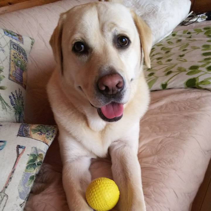 856db4d7 a846 47b3 963b 5952d1c6057b 1566387448494