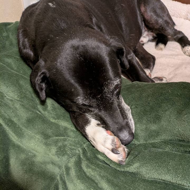 856df0ec 96eb 40a0 9620 6aaa607dae7d 1763599350293