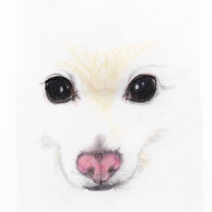 856e04e6 e65f 4000 903b e3d5fca89e06 1572240148120