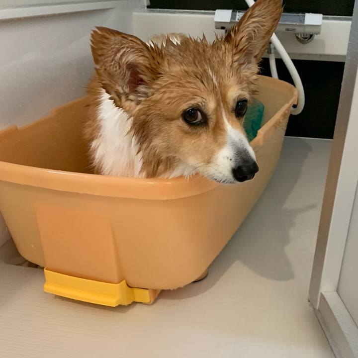 856e1876 c7a6 459c a1c8 31b8bd0ac8d4 1681203596053