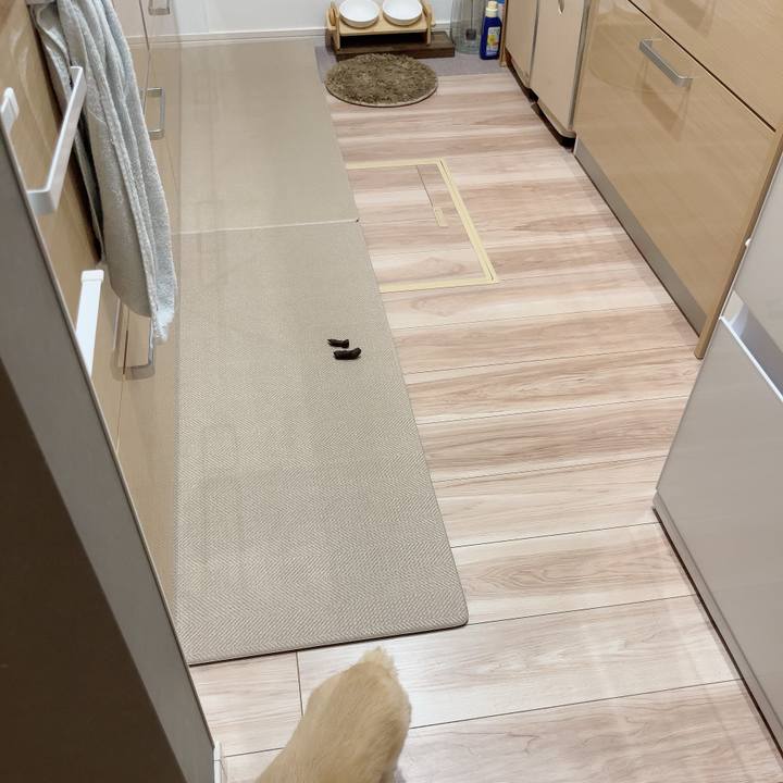 856e20f1 c829 41c8 8be9 9ec390f41fc2 1724928272473