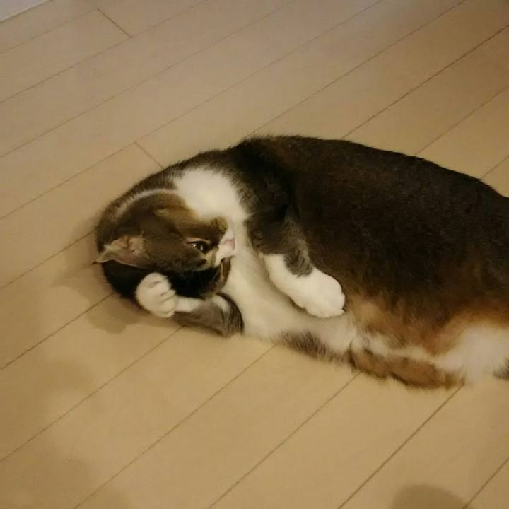 856e5765 cf18 49aa aa90 8bc68ac6ba17 1536638638639