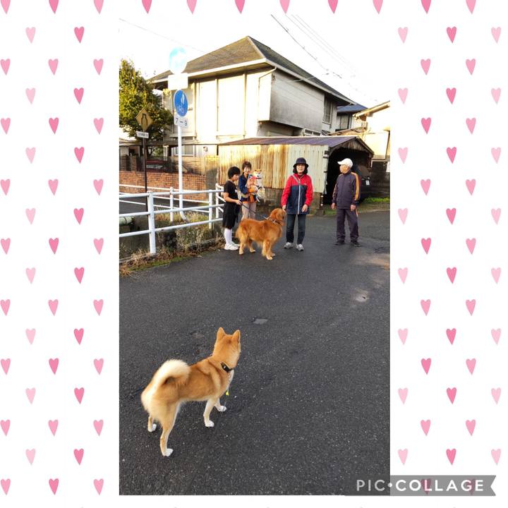 856e73fb be7a 4b7b 8225 8236dd6ea76d 1730245105931