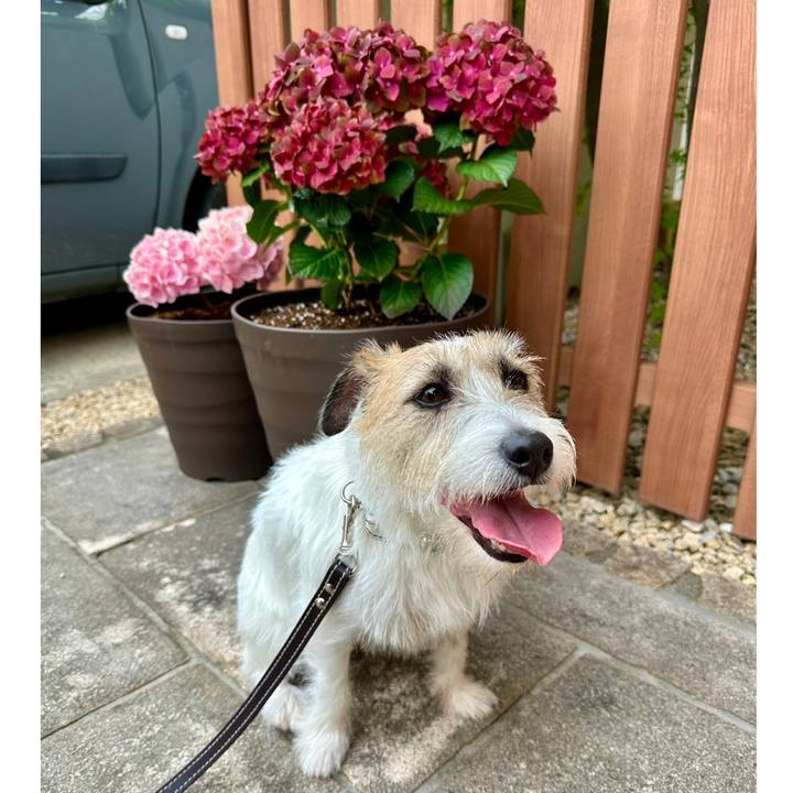 856e8af9 5e91 4dda b8d3 174039da5429 1747579165097