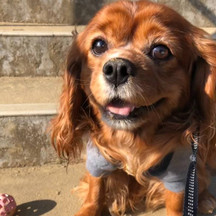 856ea761 1827 4bff 876f 92d65f7e0da7 1645836119593