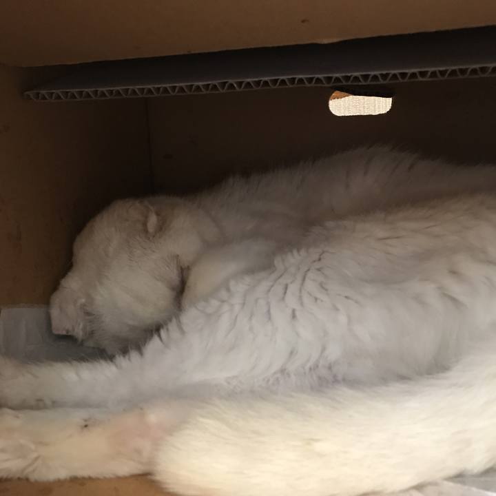 856ea7c5 06dd 4129 9c04 d9db249ec1ca 1561344897850