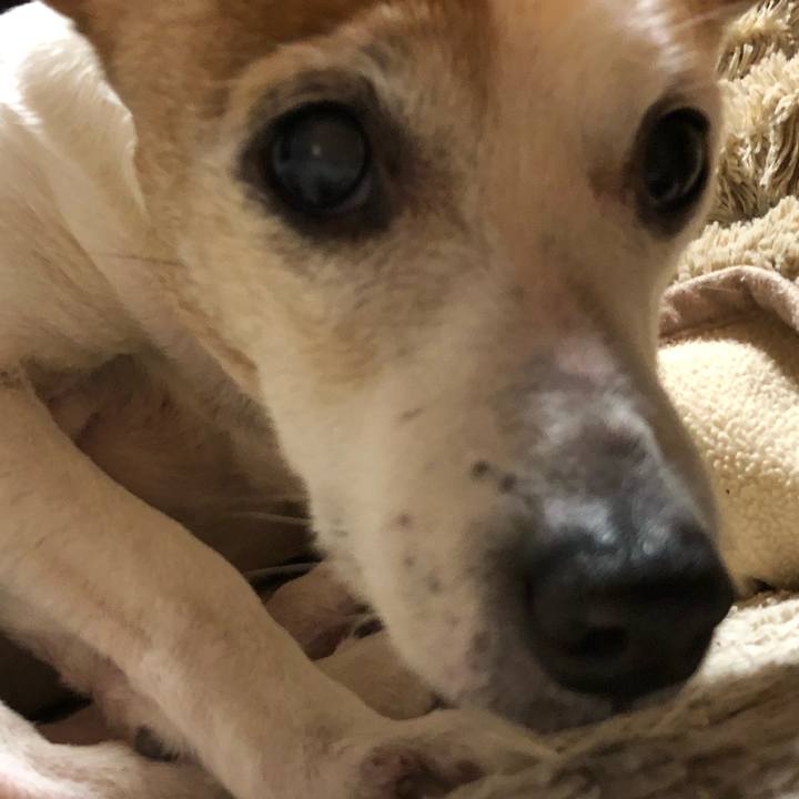 856eb13e c737 479f 94d4 57e5d35600dd 1546003449578