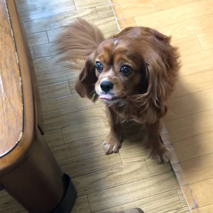 856ec50d b9b8 4f8b b323 1e6603d18538 1633558323212