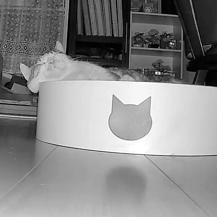 856eee27 825a 4588 b57a 566277a67135 1754994139131