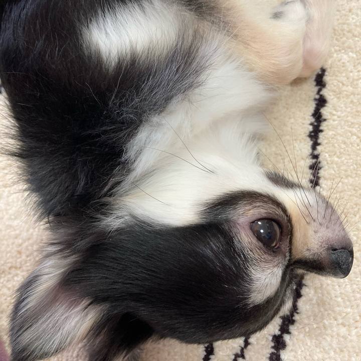 856f4fcd 2c7b 4275 ba19 357a70fc4f23 1620015178317