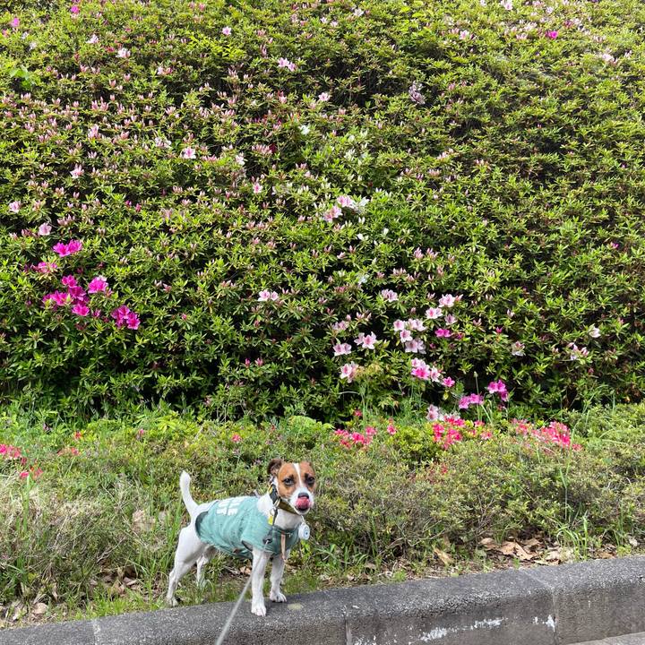 856f513a a83f 417d 84b0 8226b5c41bb5 1651931086714