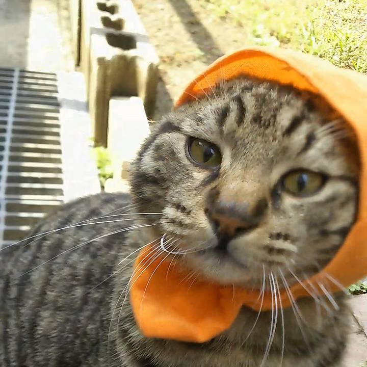 856f6472 0fe3 416b 8b6f f0d0436357f9 1556243362586