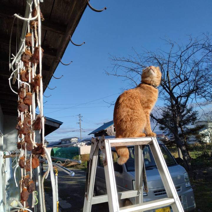 856fadce cdc2 4f1b 9829 8bdb72f7ebce 1668491942050