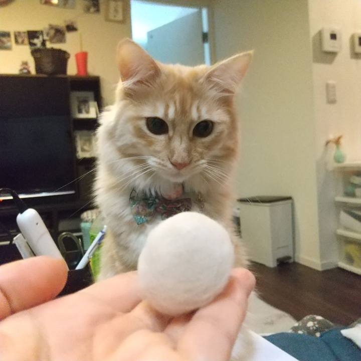 856fb603 417f 4994 a110 f1b1ab4f9a04 1642410746938